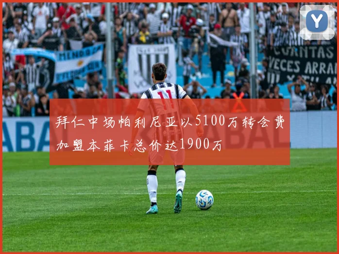 拜仁中场帕利尼亚以5100万转会费加盟本菲卡总价达1900万